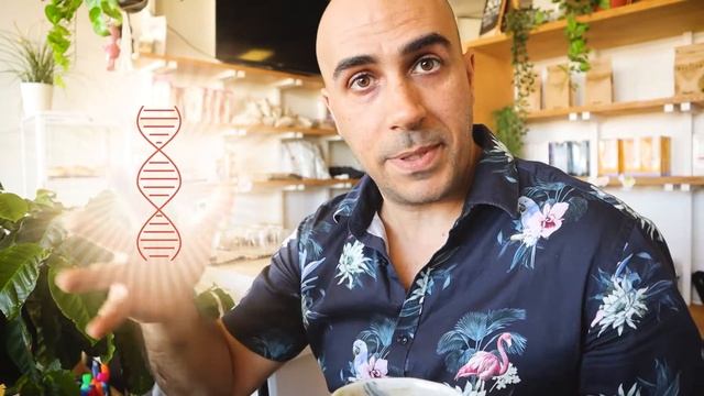 Ethiopia Yirgacheffe Coffee Review смотреть онлайн