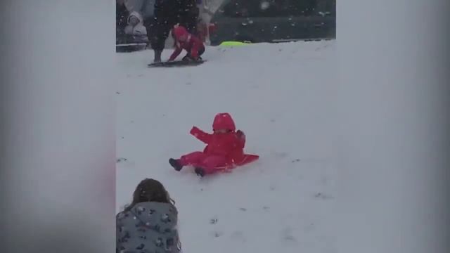 Лучшие веселые детки на природе смотреть онлайн