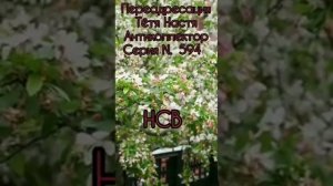 Тётя Настя. Серия N594. Диалоги с коллекторами. Банками. МФО. ФЗ 230. Антиколлекторы