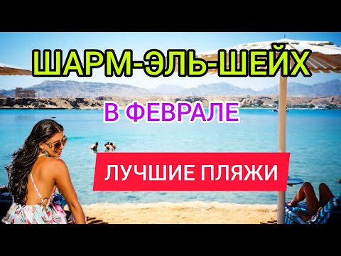 ШАРМ ЭЛЬ ШЕЙХ (Египет) 2022 В ФЕВРАЛЕ: лучшие пляжи и безветренные бухты для отдыха зимой в Шарме