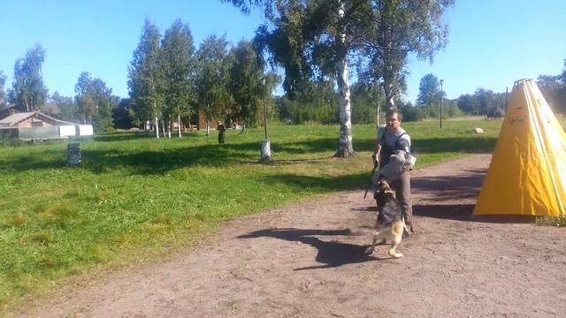 Северная застава Тинга проверка РК 25.08.13 смотреть онлайн