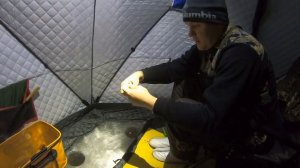 Рыбалка на плотву. Финский залив, Сестрорецкий Курорт. Первая рыбалка в новом 2023 году.