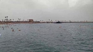 Самый полный обзор отеля Beach Albatros Resort, Египет, Хургада 2021