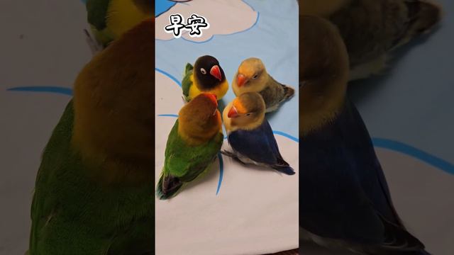 An important meeting