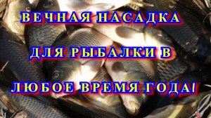 Вечная насадка для ловли мирной рыбы В любое время года!