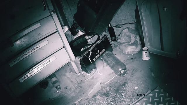 Кто умнее, крысы или мы? смотреть онлайн