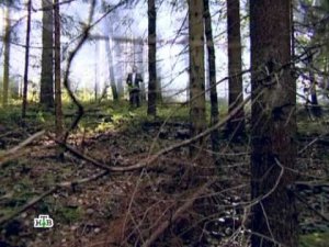 Следствие вели... - "Скелет в подвале"