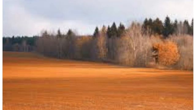 Лермонтов М.Ю. "Осень" смотреть онлайн