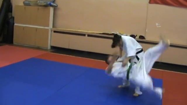 shinkyokushinkai karate