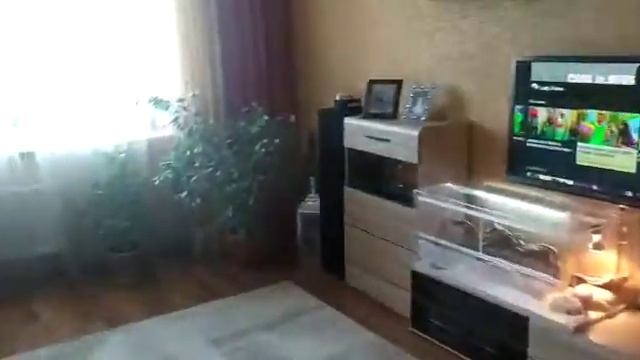 Калиниград, Парковый переулок,4 смотреть онлайн