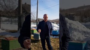 пасика как бизнес правда или миф .