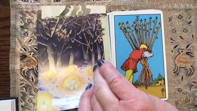 Witches Wisdom Tarot NEW RELEASE side-by-side comparison with RWS deck смотреть онлайн
