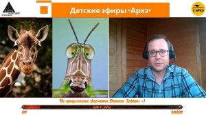 Зачем нужна голова? | Вадим Марьинский (выпуск 4)