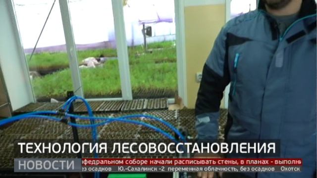 Технология лесовосстановления. Новости. 03/03/2023. GuberniaTV