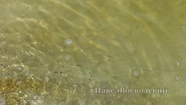 ??? Кормушка для рыб в пруд Искусственный пруд своими руками Прозрачная вода смотреть онлайн