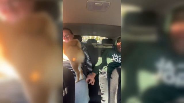 Очень смешные приколы и неудачи! @SergeyXpress12 смотреть онлайн