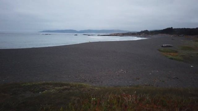 Америка: ЁЛКА ЗА $300 И ФОНТАН ИЗ ПНЯ смотреть онлайн