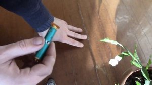 лазерный указатель линия самодельный