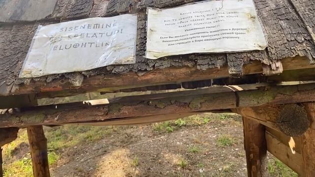Эстония ?? ГДЕ отдохнуть всей семьей. Ловля форели. Деревня Викингов. Viking küla.