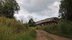 Вепсский край. Пашозеро.