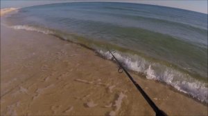 Fishing for Flounder and Finding Redfish - Surf Fishing Gulf Shores AL