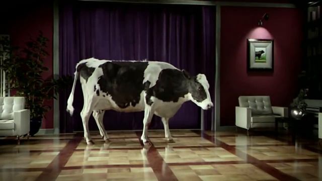 Tap Dancing Cow смотреть онлайн