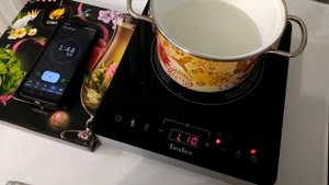 Кипячение воды на индукционной плите TESLER PI-15