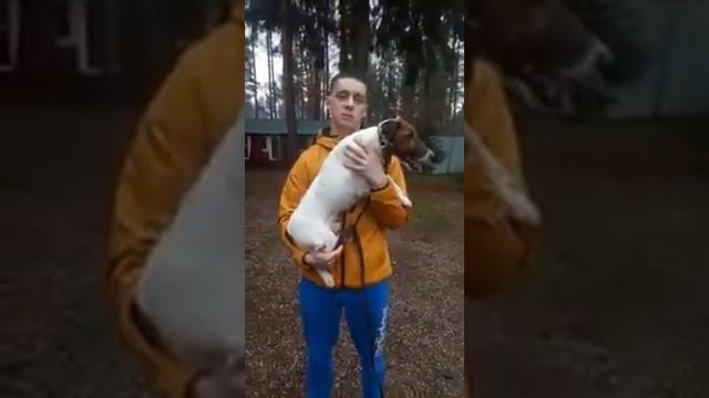Отзывы зоогостиницы Happy Pets Hotel