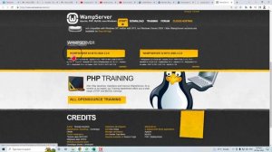 How to download wamp server in Windows 10 for WordPress