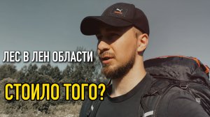 Лесной Поход 2024 Сбегаем В Природу Ленинградской Области #поход #лес #палатка #санктпетербург