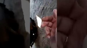 болотоход ТУНДРА отзыв владельца