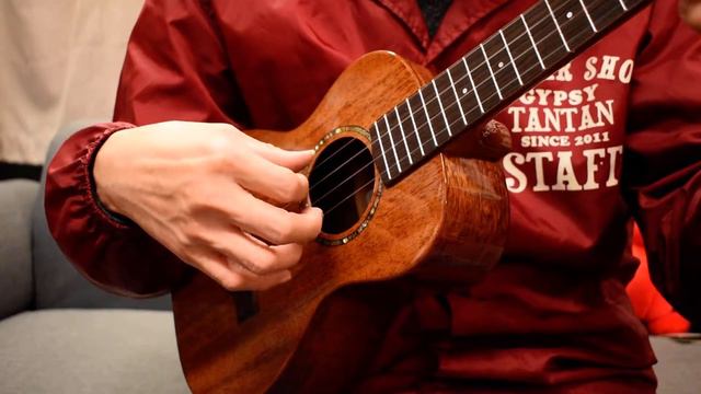 NEW/Uma Ukulele UK-20ST Tenor@guitarshoptantan смотреть онлайн