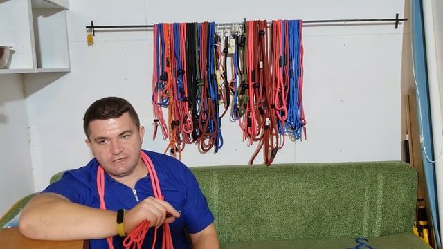 Как начинать приучать к поводку контроллеру смотреть онлайн