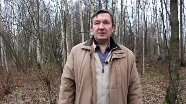как подготовить землю для рассады