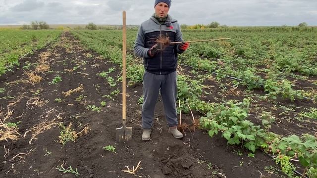 Сажать за парту или садить как правильно