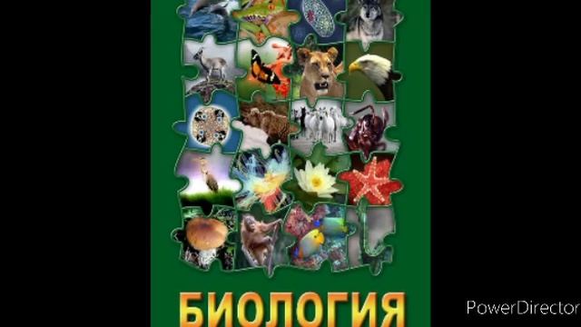 #28 Подцарство многоклеточные. Беспозвоночные животные.