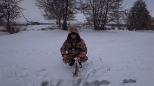 Рыбалка на жерлицы. Ловля щуки в маленькой речке. Зимняя рыбалка 2018.