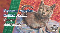 Русская голубая кошка Нюша. Рисую пастелью.