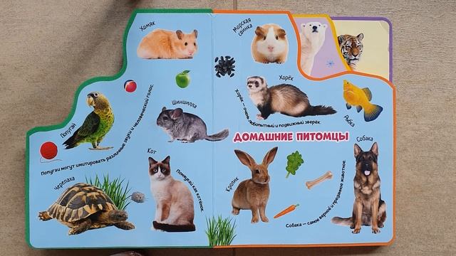 Книжка для малыша