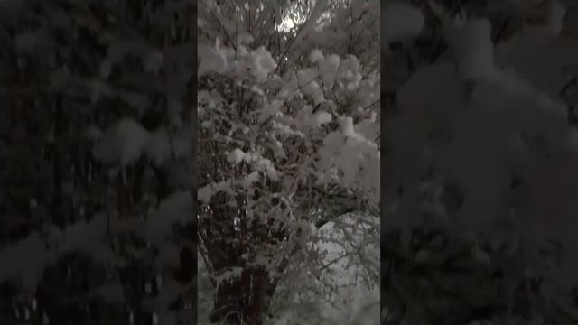 Первый день зимы.1 декабря 2023года смотреть онлайн