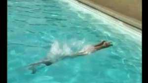 Нынула в бассейн