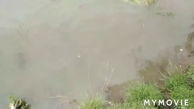 Как построить плот и не утануть. смотреть онлайн