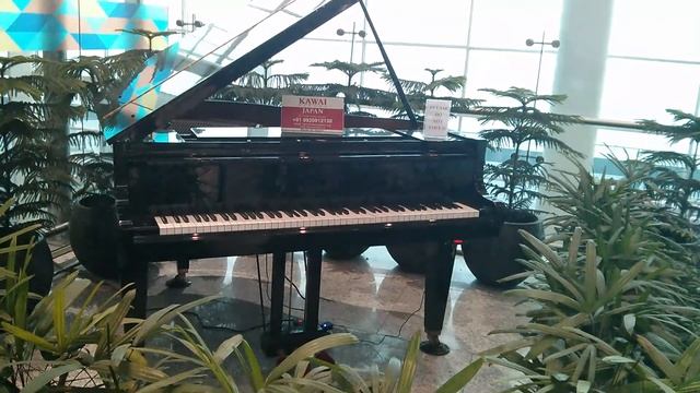 Self playing piano on New Delhi airport смотреть онлайн