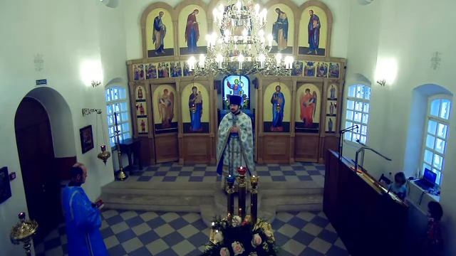 Введение во храм Пресвятой Богородицы. Часы, Литургия смотреть онлайн