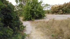 Крым.Межводное.База отдыха "Дружба",5 минут до моря