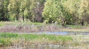 Лекарственное, живописное село у реки Западный Булганак. Симферопольский район. Крым