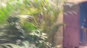 Работаем в Гуанчжоу. Парк развлечений Чимелонг Парадайс. Guangzhou, Chimelong Paradise | ДК 7    18