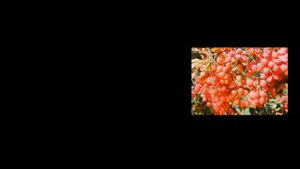 Венгерский язык - изучаем слова - ч2