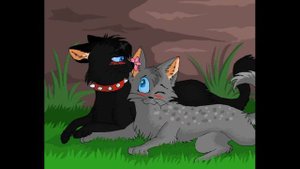 Коты воители - ТОП 6 красивых пар
