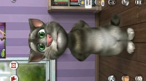 алло это заяц разговаривает с томом